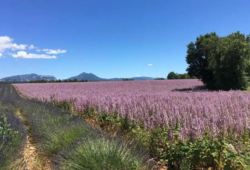 ویلای سوپریور 1 خوابه, Villa Fontane Provence
