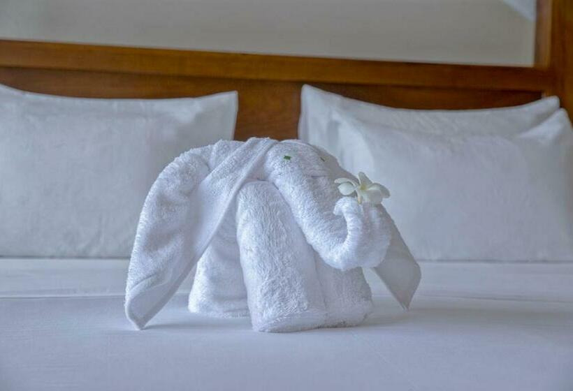 豪华海景房, Villa Blu