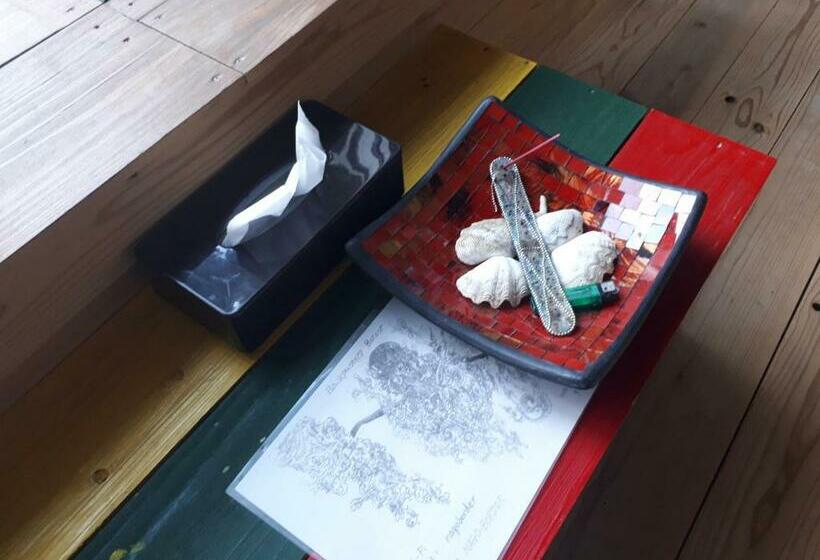 غرفة قياسية رباعية حمام مشترك, Backpackers Guesthouse Border