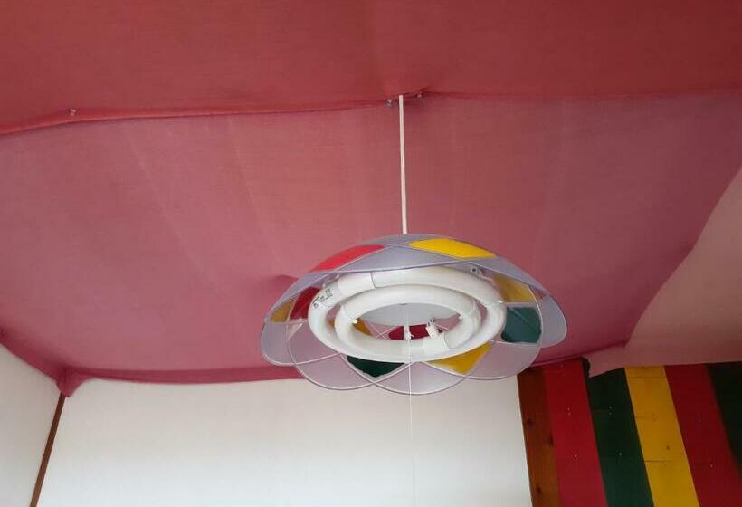 غرفة قياسية حمام مشترك, Backpackers Guesthouse Border