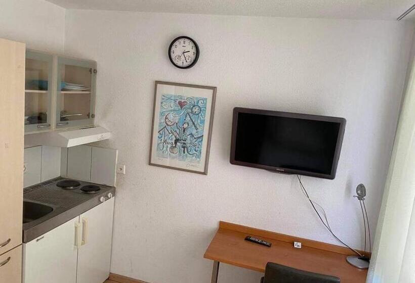 1 Sovrums Lägenhet, Sass Apart