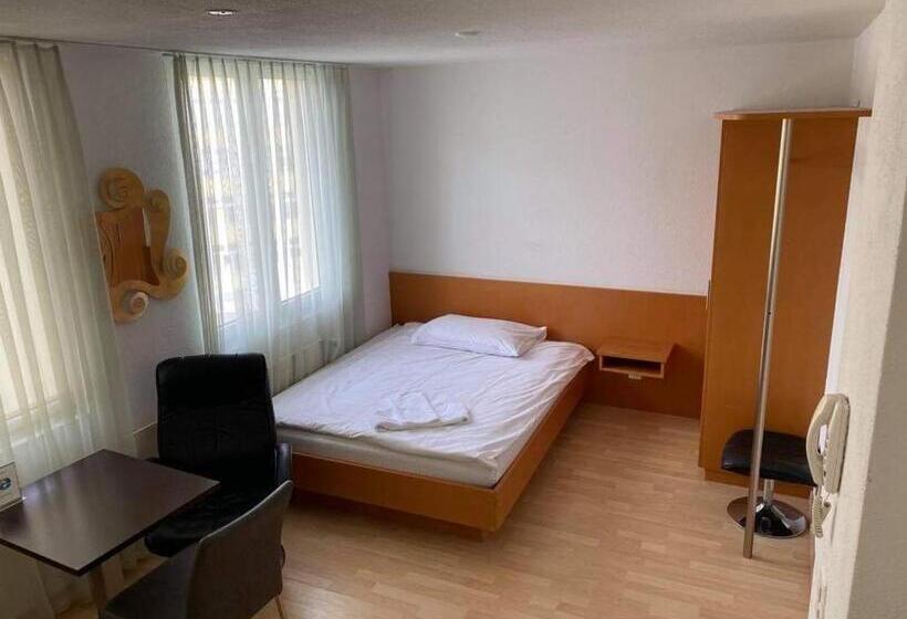 1 Sovrums Lägenhet, Sass Apart