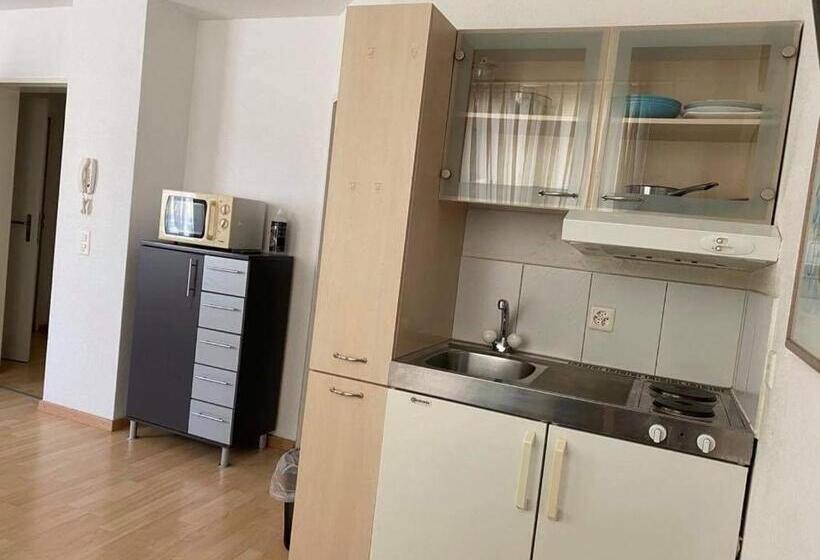 1 Sovrums Lägenhet, Sass Apart