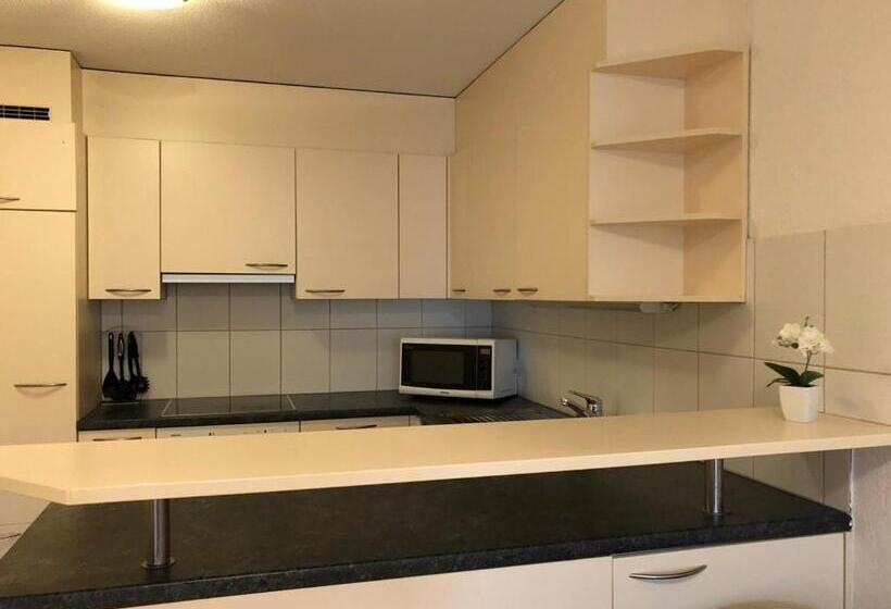 1 Sovrums Lägenhet med Balkong, Sass Apart