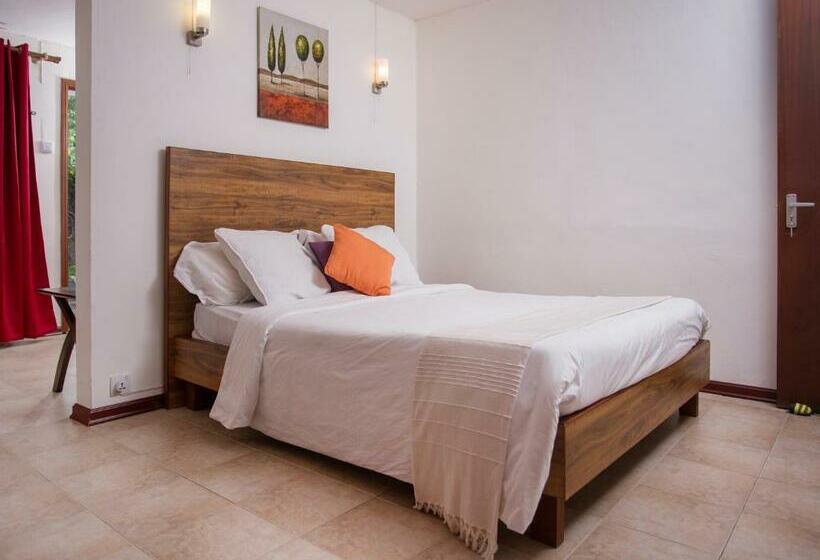 استودیوی استاندارد, Talamba Blue