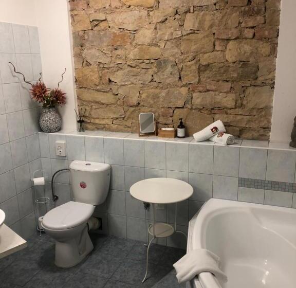 חדר סופריור, Penzion U Kašpara