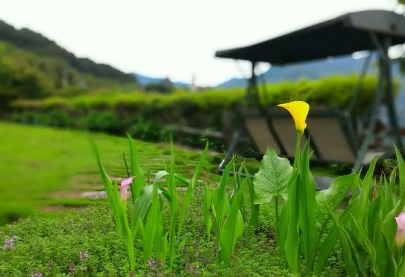 سوییت خانوادگی, Starvilla