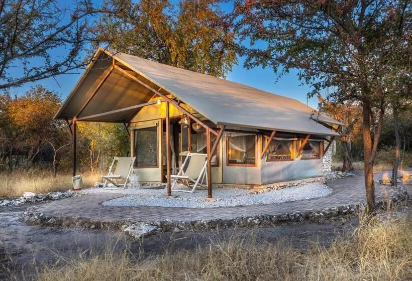 Familienzimmer, Mushara Bush Camp