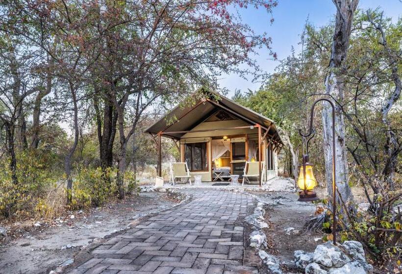 חדר סטנדרט, Mushara Bush Camp