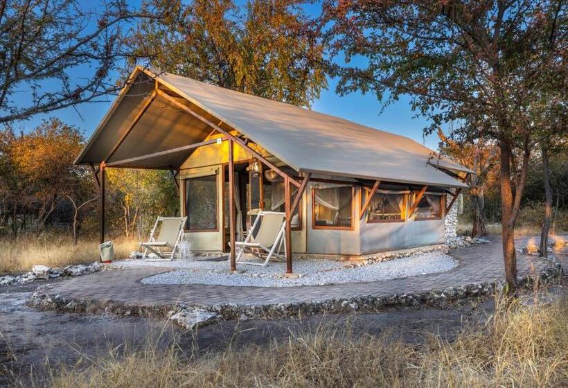 اتاق استاندارد, Mushara Bush Camp