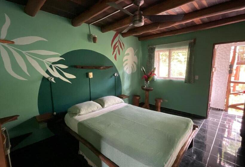 스탠다드 룸, Entre Dos Aguas