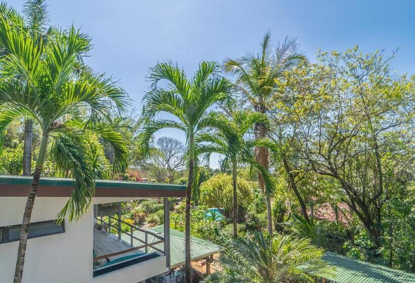 침실 1개 테라스 아파트, Entre Dos Aguas