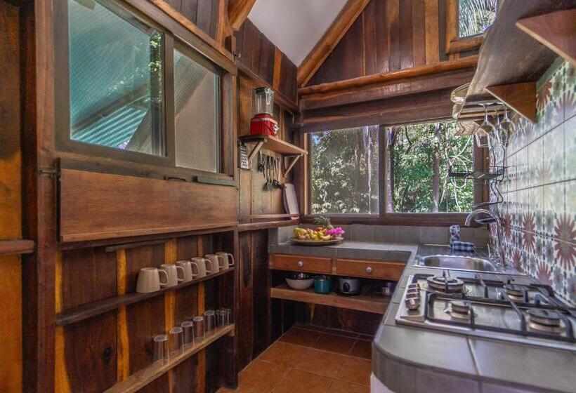 침실 1개 테라스 아파트, Entre Dos Aguas