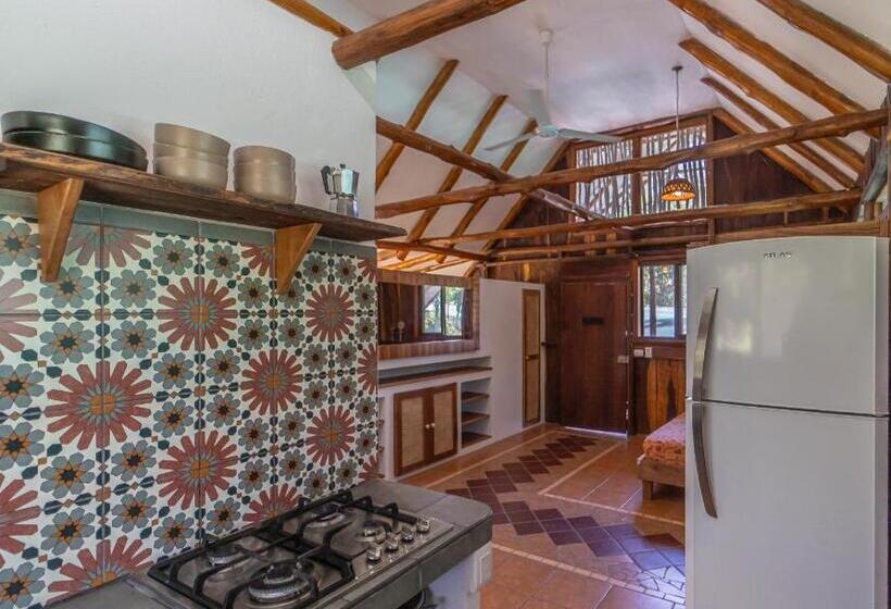 침실 1개 테라스 아파트, Entre Dos Aguas