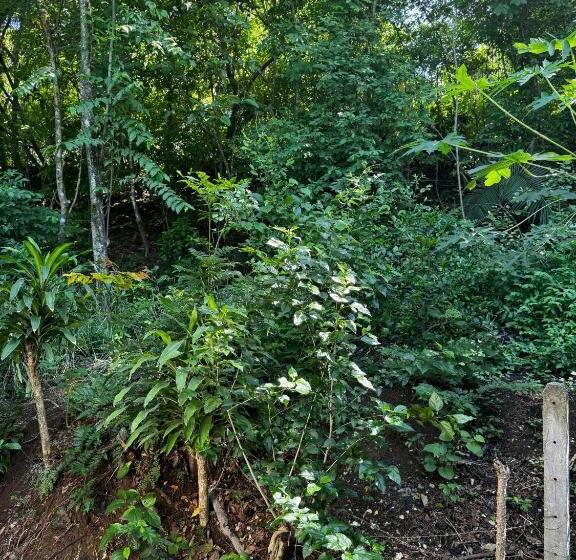 패밀리 스튜디오, Entre Dos Aguas