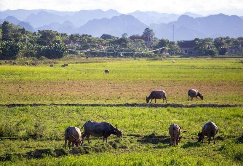سوییت, Phong Nha Farmstay