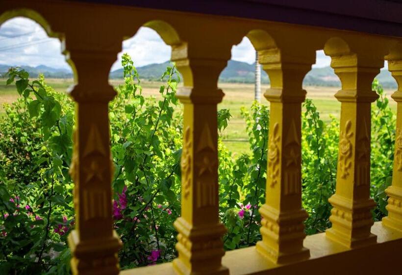 سوییت, Phong Nha Farmstay