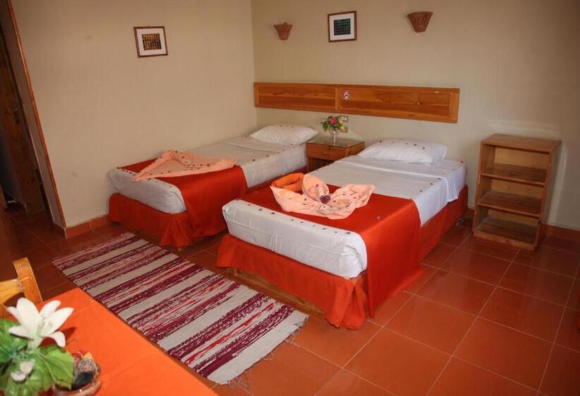 اتاق اکونومی, Ali Baba Safaga