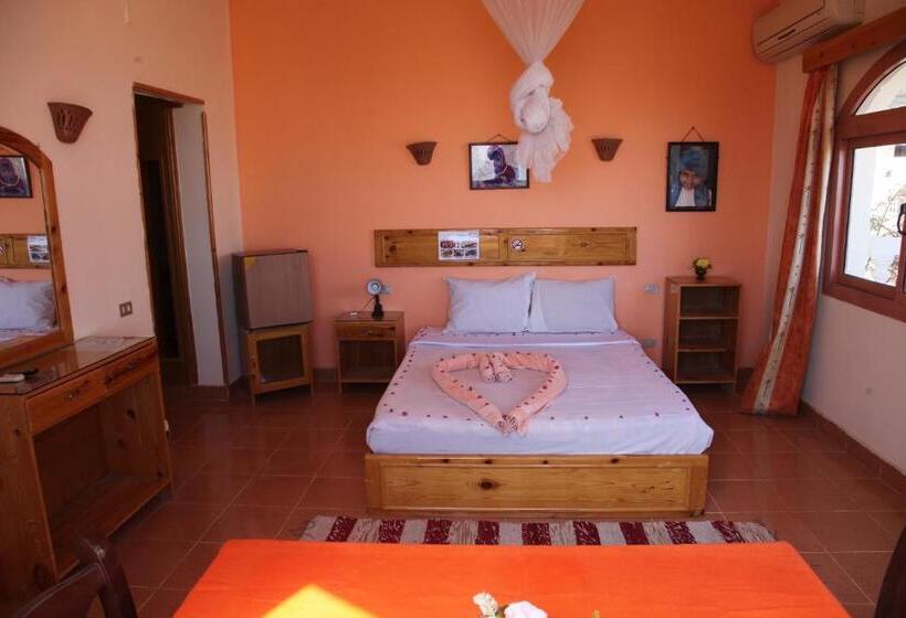 اتاق استاندارد, Ali Baba Safaga