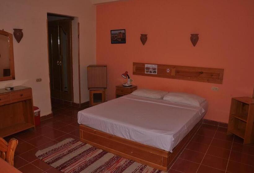 اتاق استاندارد, Ali Baba Safaga