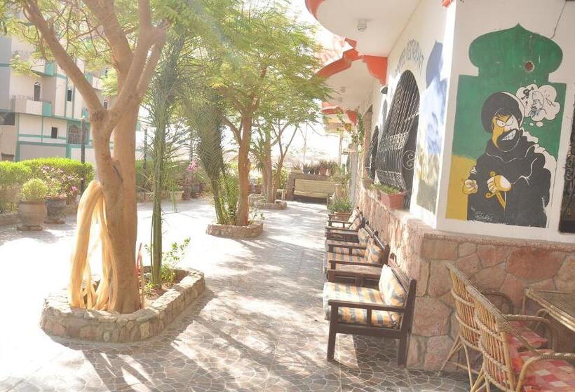 اتاق استاندارد, Ali Baba Safaga