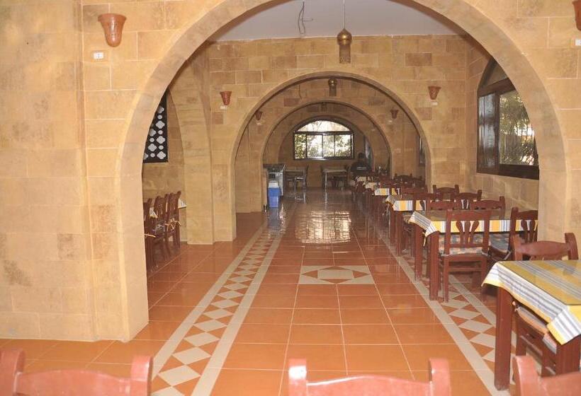 اتاق اکونومی یک تخته, Ali Baba Safaga