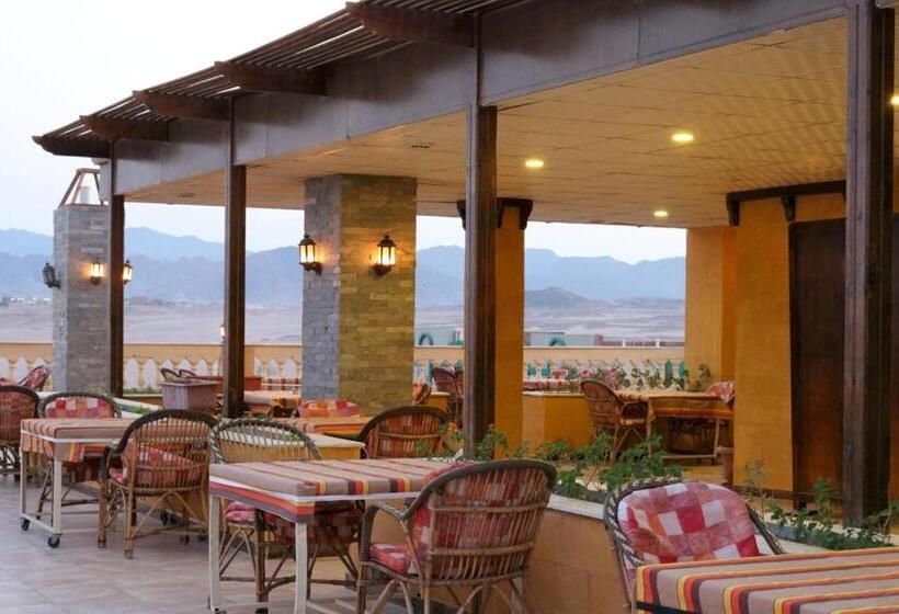 Economy Triple Room, Ali Baba Safaga