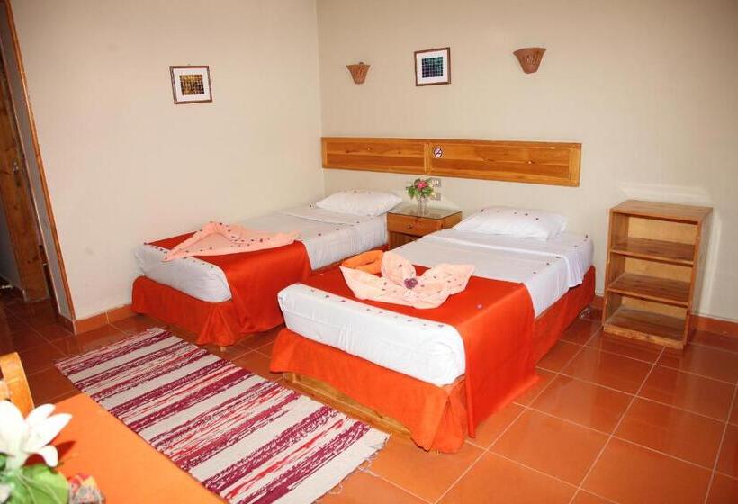 Economy Triple Room, Ali Baba Safaga