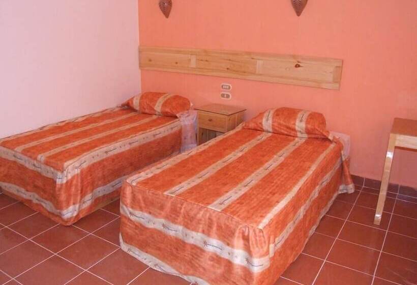 اتاق استاندارد, Ali Baba Safaga