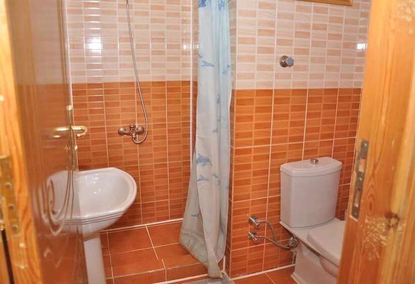 اتاق استاندارد, Ali Baba Safaga