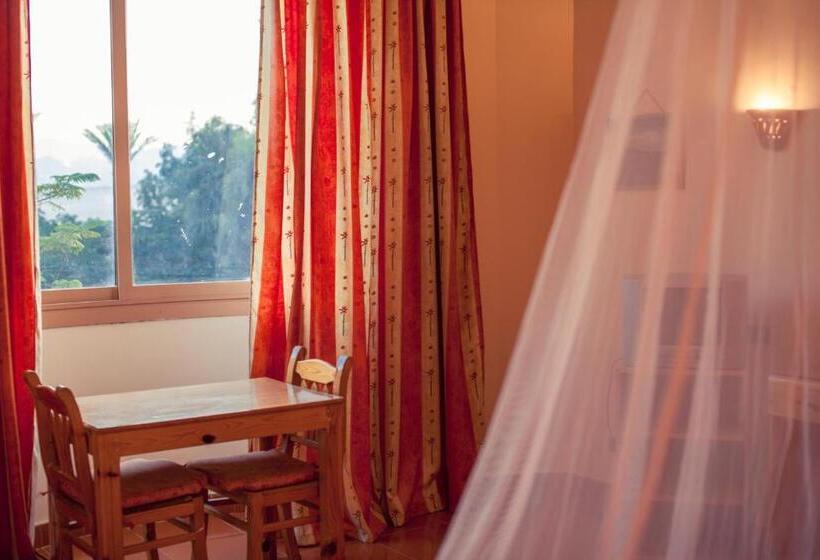 اتاق اکونومی, Ali Baba Safaga