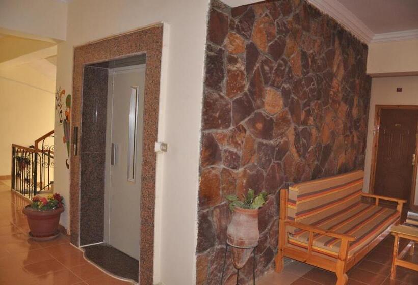 اتاق استاندارد, Ali Baba Safaga