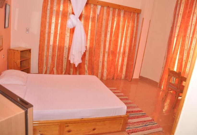 اتاق استاندارد, Ali Baba Safaga