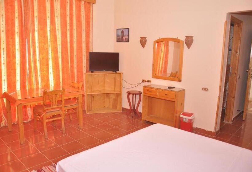 اتاق استاندارد, Ali Baba Safaga