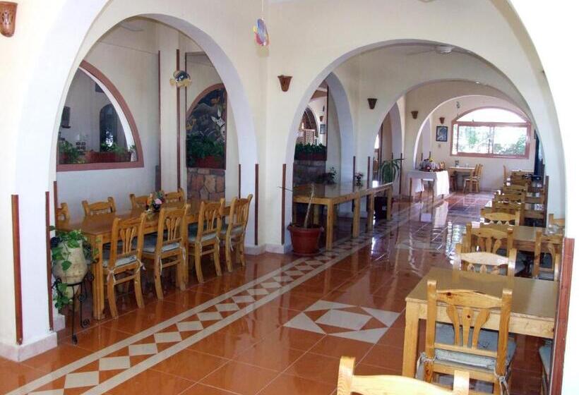 اتاق استاندارد, Ali Baba Safaga