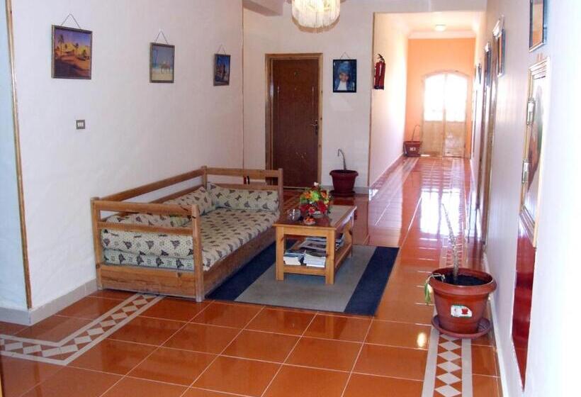 اتاق استاندارد, Ali Baba Safaga