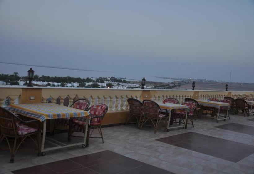 اتاق اکونومی یک تخته, Ali Baba Safaga