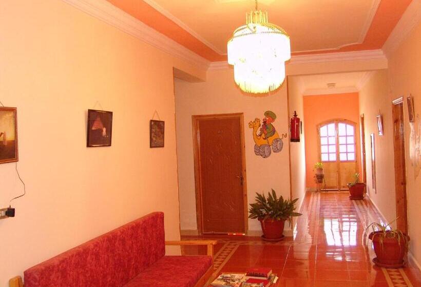 اتاق اکونومی یک تخته, Ali Baba Safaga