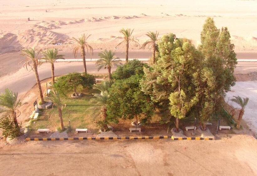 اتاق اکونومی یک تخته, Ali Baba Safaga