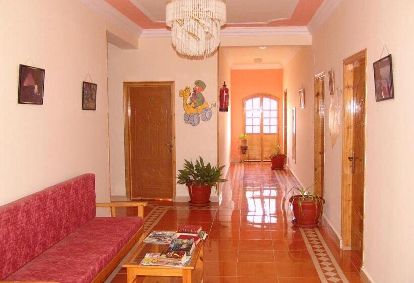 اتاق اکونومی یک تخته, Ali Baba Safaga