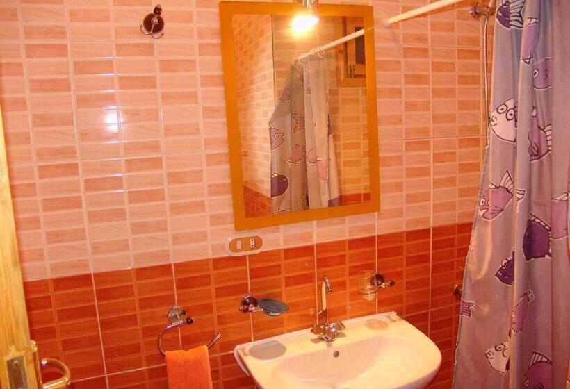 اتاق اکونومی یک تخته, Ali Baba Safaga