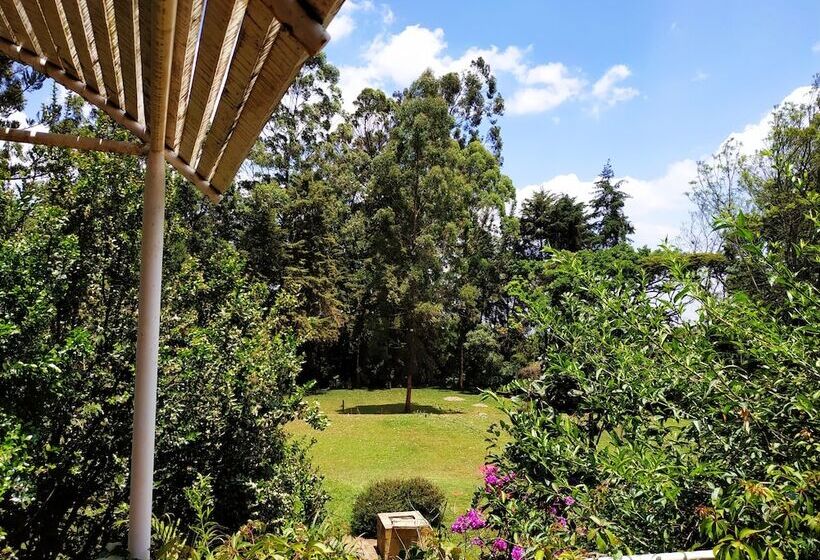 Люкс Повышенной Комфортности, Zereniti House