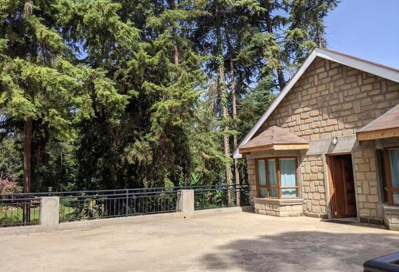 Апартаменты 3 Спальни, Zereniti House