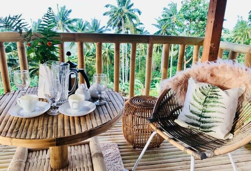 Номер Стандарт, Bintana Sa Paraiso Binunsaran
