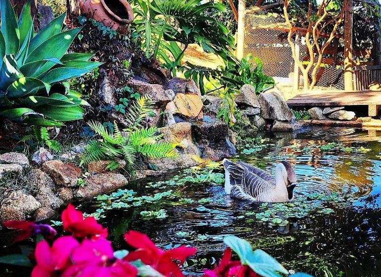 スイート, Pousada Residência Balestra