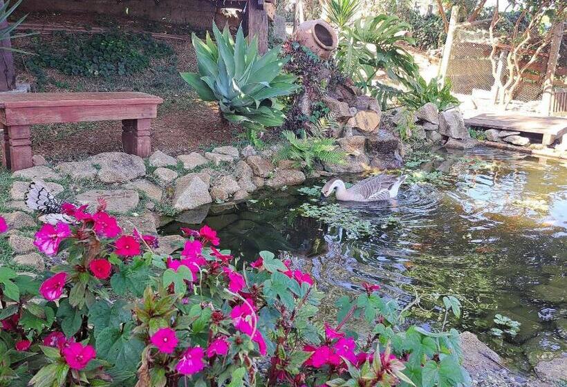 4ベッドルームクラシックタイプ, Pousada Residência Balestra