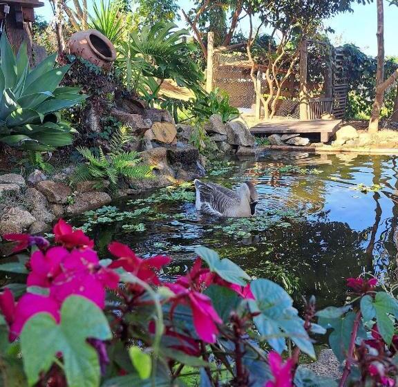 シャレー1寝室, Pousada Residência Balestra