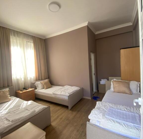 اتاق لوکس سه تخته, Akropoli