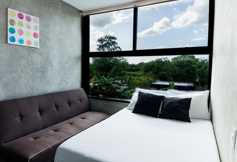 غرفة قياسية, Urban Bacalar