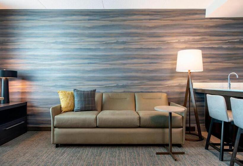 带大床的套房, Residence Inn By Marriott Winnipeg